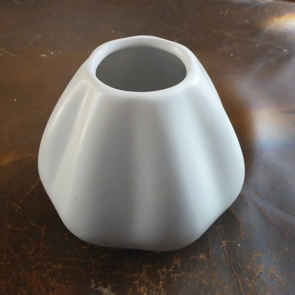 Small Uniuely Shaped Ikea Vase